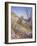 California, Anza Borrego Desert Sp, Desert Flowers and Vegetation-Christopher Talbot Frank-Framed Photographic Print