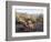 California, Anza Borrego Desert Sp, Hedgehog and Barrel Cactus-Christopher Talbot Frank-Framed Photographic Print