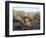 California, Anza Borrego Desert Sp, Hedgehog and Barrel Cactus-Christopher Talbot Frank-Framed Photographic Print