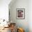 California, Anza Borrego Desert Sp, Sand Verbena and a Cholla Cactus-Christopher Talbot Frank-Framed Photographic Print displayed on a wall