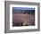 California, Anza Borrego Desert Sp, Sand Verbena and Primrose-Christopher Talbot Frank-Framed Photographic Print