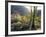 California, Anza Borrego Desert Sp, the Sunset Through Ocotillos-Christopher Talbot Frank-Framed Photographic Print