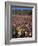 California, Anza Borrego Desert Sp, Wildflowers in Desert-Christopher Talbot Frank-Framed Photographic Print