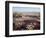 California, Anza Borrego Desert Sp, Wildflowers on a Sand Dune-Christopher Talbot Frank-Framed Photographic Print