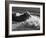 California, Big Sur, Big Wave Crashes Against Rocks and Trees at Julia Pfeiffer Burns State Park-Ann Collins-Framed Photographic Print