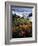 California, Big Sur Coast, Central Coast, California Poppy and Ocean-Christopher Talbot Frank-Framed Photographic Print