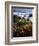 California, Big Sur Coast, Central Coast, California Poppy and Ocean-Christopher Talbot Frank-Framed Photographic Print