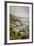 California, Big Sur, View of Pacific Ocean Coastline with Cow Parsley-Alison Jones-Framed Photographic Print