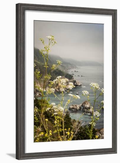 California, Big Sur, View of Pacific Ocean Coastline with Cow Parsley-Alison Jones-Framed Photographic Print