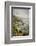 California, Big Sur, View of Pacific Ocean Coastline with Cow Parsley-Alison Jones-Framed Photographic Print