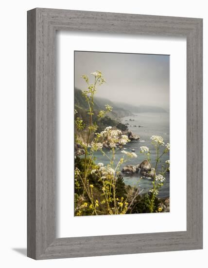 California, Big Sur, View of Pacific Ocean Coastline with Cow Parsley-Alison Jones-Framed Photographic Print