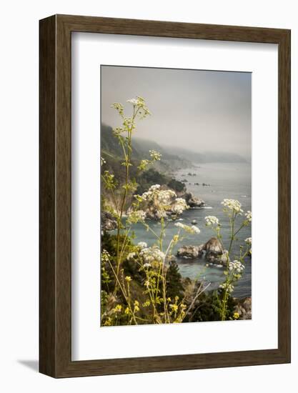 California, Big Sur, View of Pacific Ocean Coastline with Cow Parsley-Alison Jones-Framed Photographic Print