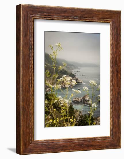 California, Big Sur, View of Pacific Ocean Coastline with Cow Parsley-Alison Jones-Framed Photographic Print