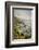 California, Big Sur, View of Pacific Ocean Coastline with Cow Parsley-Alison Jones-Framed Photographic Print