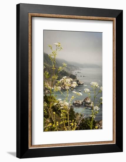 California, Big Sur, View of Pacific Ocean Coastline with Cow Parsley-Alison Jones-Framed Photographic Print