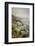 California, Big Sur, View of Pacific Ocean Coastline with Cow Parsley-Alison Jones-Framed Photographic Print