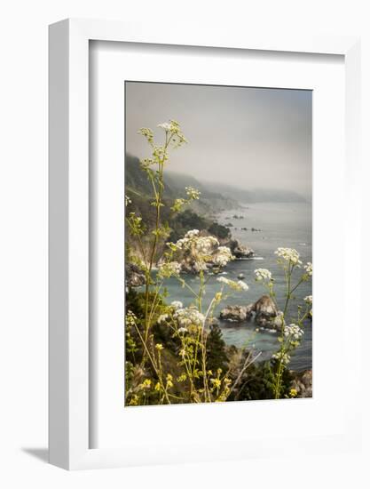 California, Big Sur, View of Pacific Ocean Coastline with Cow Parsley-Alison Jones-Framed Photographic Print