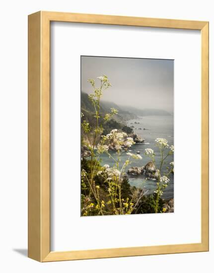 California, Big Sur, View of Pacific Ocean Coastline with Cow Parsley-Alison Jones-Framed Photographic Print