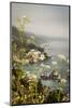 California, Big Sur, View of Pacific Ocean Coastline with Cow Parsley-Alison Jones-Mounted Photographic Print