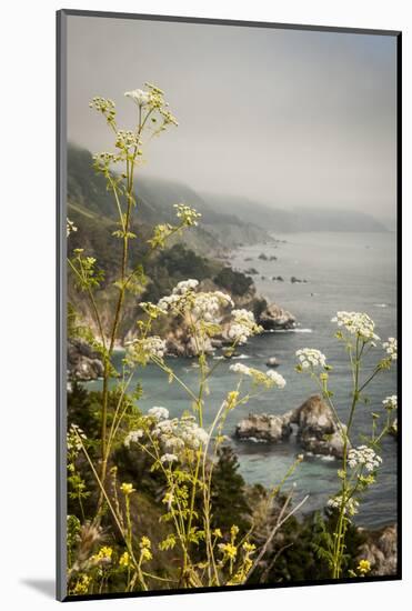 California, Big Sur, View of Pacific Ocean Coastline with Cow Parsley-Alison Jones-Mounted Photographic Print