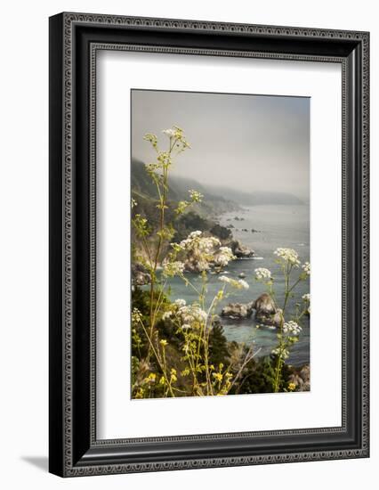 California, Big Sur, View of Pacific Ocean Coastline with Cow Parsley-Alison Jones-Framed Photographic Print