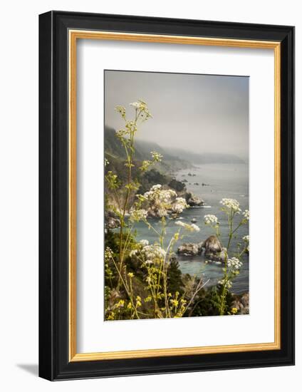 California, Big Sur, View of Pacific Ocean Coastline with Cow Parsley-Alison Jones-Framed Photographic Print