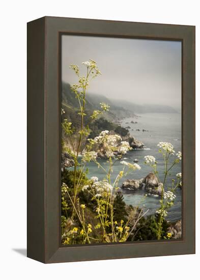 California, Big Sur, View of Pacific Ocean Coastline with Cow Parsley-Alison Jones-Framed Premier Image Canvas