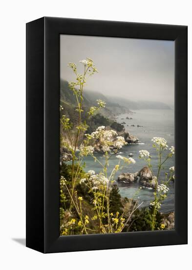 California, Big Sur, View of Pacific Ocean Coastline with Cow Parsley-Alison Jones-Framed Premier Image Canvas