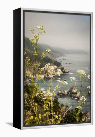 California, Big Sur, View of Pacific Ocean Coastline with Cow Parsley-Alison Jones-Framed Premier Image Canvas