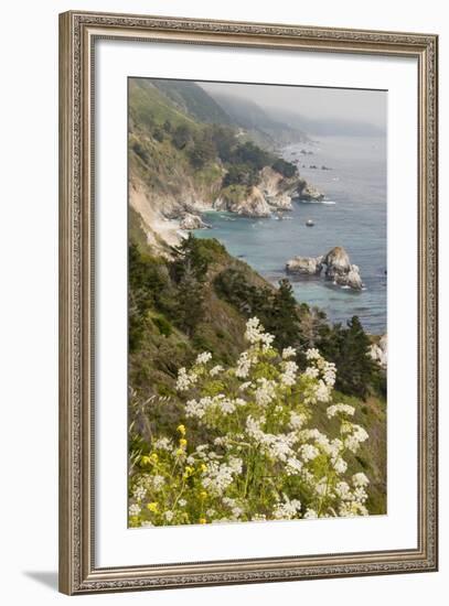 California, Big Sur, View of Pacific Ocean Coastline with Cow Parsley-Alison Jones-Framed Photographic Print