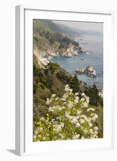 California, Big Sur, View of Pacific Ocean Coastline with Cow Parsley-Alison Jones-Framed Photographic Print