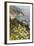 California, Big Sur, View of Pacific Ocean Coastline with Cow Parsley-Alison Jones-Framed Photographic Print