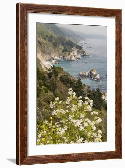 California, Big Sur, View of Pacific Ocean Coastline with Cow Parsley-Alison Jones-Framed Photographic Print