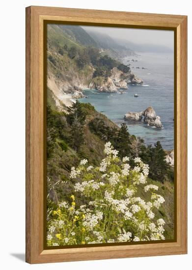 California, Big Sur, View of Pacific Ocean Coastline with Cow Parsley-Alison Jones-Framed Premier Image Canvas