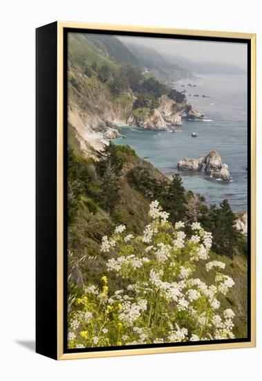 California, Big Sur, View of Pacific Ocean Coastline with Cow Parsley-Alison Jones-Framed Premier Image Canvas