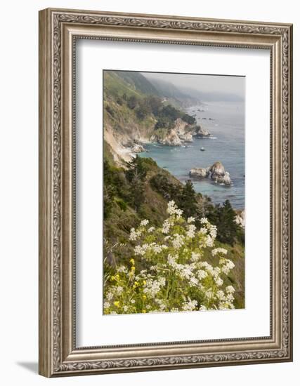 California, Big Sur, View of Pacific Ocean Coastline with Cow Parsley-Alison Jones-Framed Photographic Print