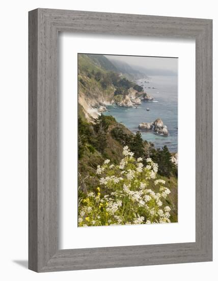 California, Big Sur, View of Pacific Ocean Coastline with Cow Parsley-Alison Jones-Framed Photographic Print