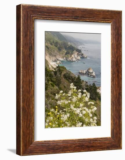 California, Big Sur, View of Pacific Ocean Coastline with Cow Parsley-Alison Jones-Framed Photographic Print