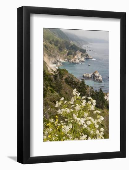 California, Big Sur, View of Pacific Ocean Coastline with Cow Parsley-Alison Jones-Framed Photographic Print