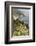 California, Big Sur, View of Pacific Ocean Coastline with Cow Parsley-Alison Jones-Framed Photographic Print