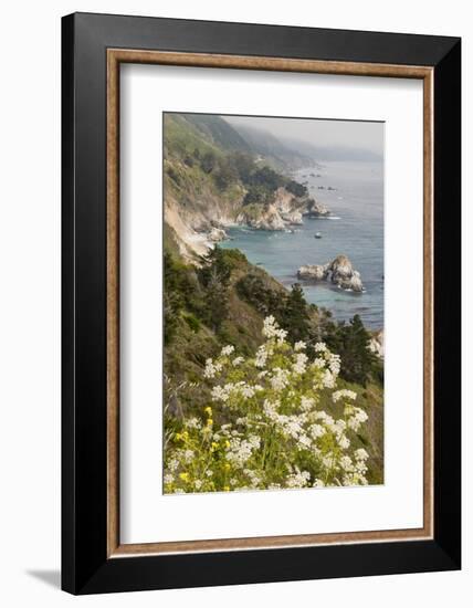 California, Big Sur, View of Pacific Ocean Coastline with Cow Parsley-Alison Jones-Framed Photographic Print