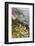 California, Big Sur, View of Pacific Ocean Coastline with Cow Parsley-Alison Jones-Framed Photographic Print