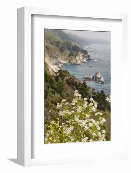 California, Big Sur, View of Pacific Ocean Coastline with Cow Parsley-Alison Jones-Framed Photographic Print