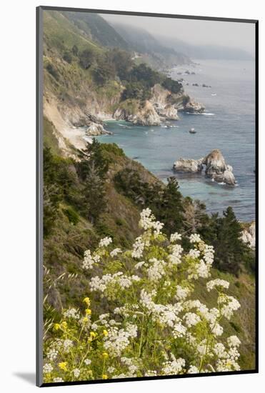 California, Big Sur, View of Pacific Ocean Coastline with Cow Parsley-Alison Jones-Mounted Photographic Print