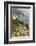 California, Big Sur, View of Pacific Ocean Coastline with Cow Parsley-Alison Jones-Framed Photographic Print