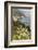 California, Big Sur, View of Pacific Ocean Coastline with Cow Parsley-Alison Jones-Framed Photographic Print