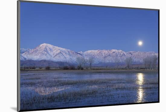 California, Bishop. Full Moon over Sierra Crest-Jaynes Gallery-Mounted Photographic Print