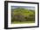 California Black Oaks, Mt Diablo State Park, California, USA-Charles Gurche-Framed Photographic Print