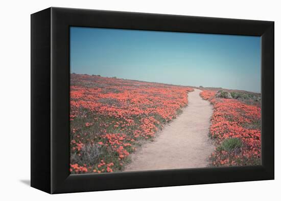 California Blooms IV-Elizabeth Urquhart-Framed Premier Image Canvas