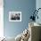 California Boy Scouts with Mohawk Haircuts-null-Framed Photo displayed on a wall